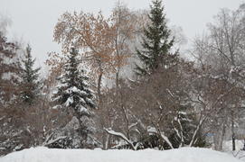 Городской парк занесенный снегом холодной зимой 