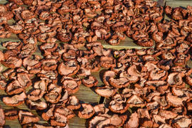 Сухофрукты сушат на деревянной доске