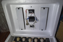 Incubator for a conclusion of chickens, ducklings and gooses. Equipment for a household. Internal