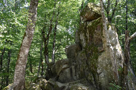 Devil's Finger. The rock damaged by explosion in the woods of Kuban