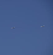 Flying fighter in the sky. Military aircraft exercises.