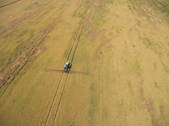 Adding herbicide tractor on the field of ripe wheat. Growing crops in the fields. View from above.