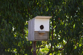 Homemade birdhouse in the garden. Socket for small birds