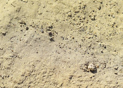 Background of building sand. Building materials. The texture of the sand