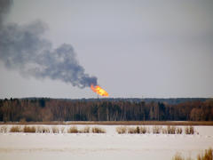 Burning gas flare on the forest background
