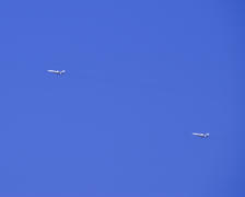 Flying fighter in the sky. Military aircraft exercises.
