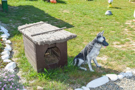 Деревянная будка с чучелом собаки 