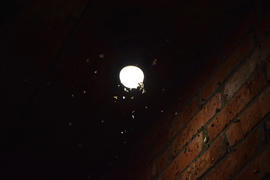 Night insects at a bulb. Attraction of insects on light