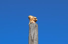 Фигурка белочки с орехом на пне дерева на фоне голубого 