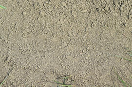 Background from the dry earth. The soil on a dirt road