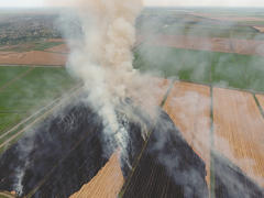 Burning straw in the fields of wheat after harvesting. The pollution of the atmosphere with smoke.