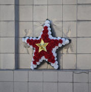 Garland in the form of a five-pointed star. Flowers of the Victory Day