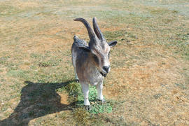 Декоративная фигурка козы в саду 