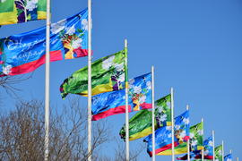 Разноцветные флаги 