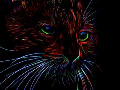 Изображение кота в неоновом цвете на черном фоне