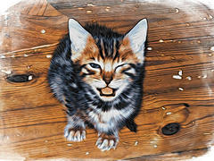 Рисунок бенгальской котенка