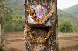 The image of Sai Baba of shear on the tree in Indian village