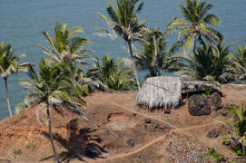 Hut among the trees on the bank of the ocean in Goa