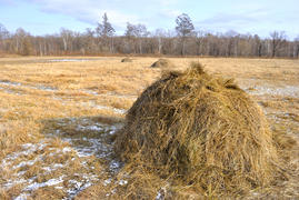 Haystack on a field against the blue sky