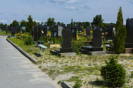 Urban Korbutovskom cemetery, called "Friendship" - one of the largest burial sites. It occupies abou