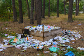 Litter box. Landfill in the autumn forest