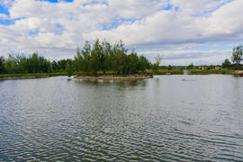 Island with a bridge on a private lake