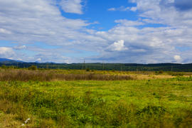 Пейзаж полей и гор в Западной Украине