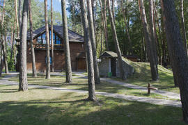 Wooden cabin in the pine forest in the summer