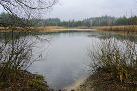 Небольшое озеро возле частного деревянного дома