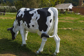 Статуя коровы. Молочная корова в деревне