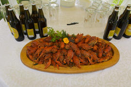 Crayfish with beer on a table in a private cafe