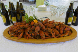 Crayfish with beer on a table in a private cafe