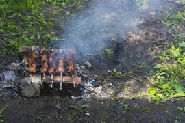 Shish kebab on skewers. Cooking meat on the coals.