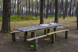 Dirty picnic table in the autumn forest