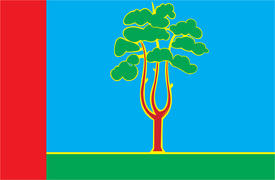 Флаг города Черноголовка. Московская область