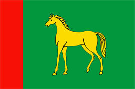 Флаг города Бронницы.Московская область