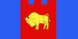 Флаг Брестской области (Brest Oblast). Беларусь