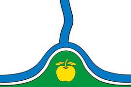 Флаг города Россоши (Rossosh). Воронежская область