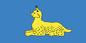 Флаг города Гомеля (Gomel). Республика Беларусь