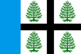 Флаг городского поселка Судиславль (Sudislavl). Костромская область