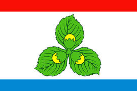 Флаг города Краснознаменск (Krasnoznamensk). Калининградской области