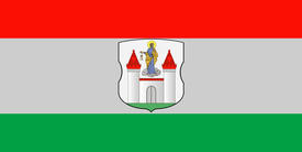 Флаг города Борисова (Borisov, Barisau). Беларусь