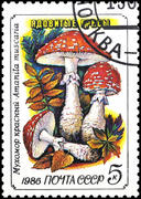 Почтовая марка СССР . Ядовитые грибы
