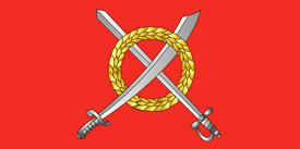 Флаг города Чаусы (Chausy). Беларусь