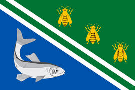 Флаг города Рыбное.Рязанская область