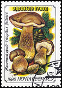 Почтовая марка СССР . Ядовитые грибы