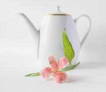Чайник и цветок на белом фоне 