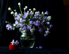 Букет голубых цветов в прозрачном графине 