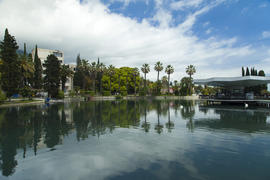 City pond in an environment of palm trees waiting for vacationers