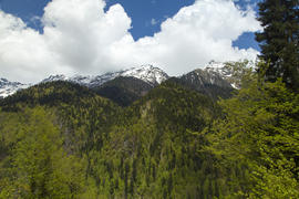 Mountains are covered with snow and the wood and surrounded with clouds
